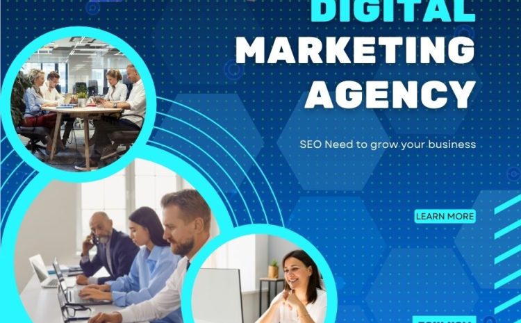 SEO Need to grow your business