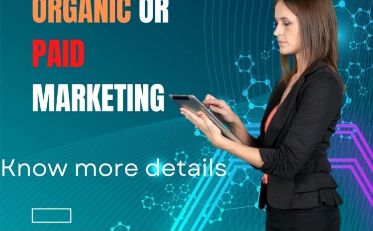 Organic or Paid Marketing